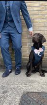Blinder Blue Tweed Dog Suit
