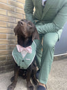 Sage Green Dog Suit