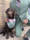 Sage Green Dog Suit