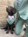 Sage Green Dog Suit